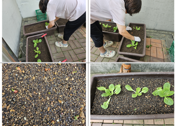 321ece7877db37b00982ebc27269120e_1760902