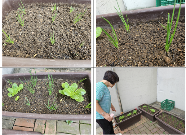 321ece7877db37b00982ebc27269120e_1760903