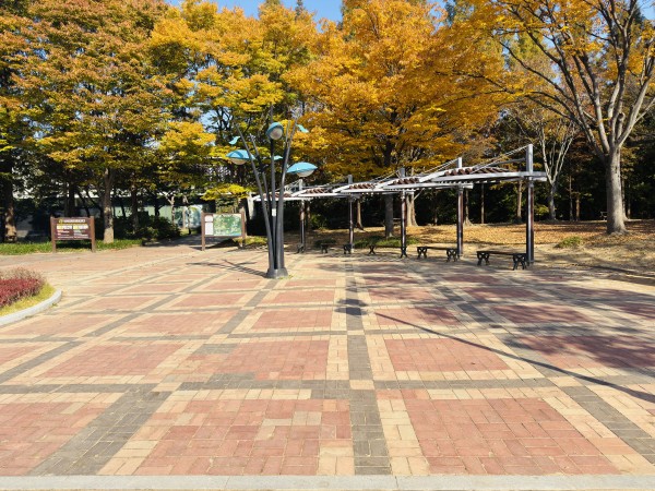 e5908d2c2d82ea2a7ca1a492aa15130c_1762395